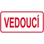 Vedúci